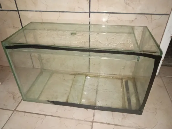 Aquário peixes Grande
