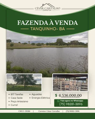 FAZENDA EM TANQUINHO - 817 TAREFAS