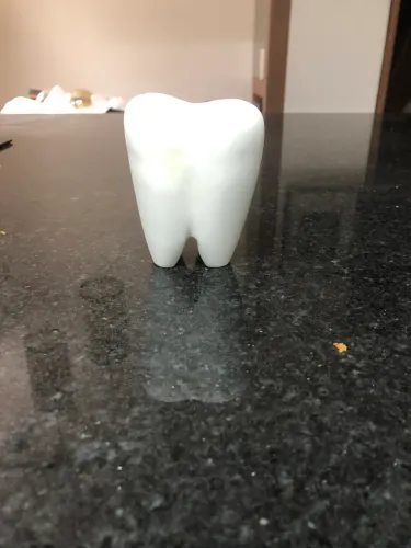 Porta-caneta em formato de dente