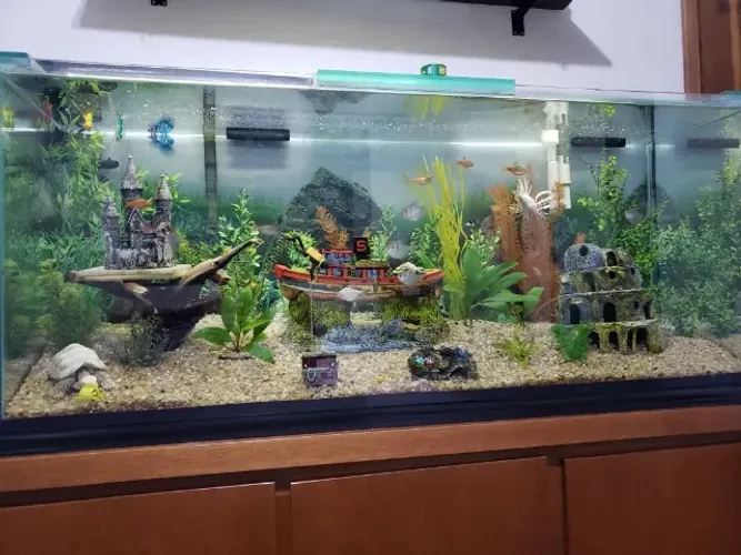 Aquário 300 Litros