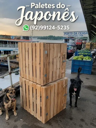 Caixa de transporte pet Animais