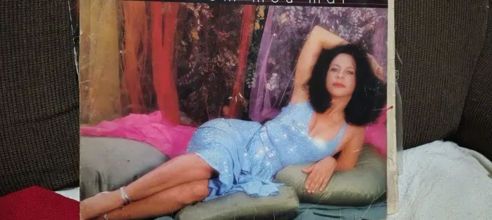 DISCO EM VINIL