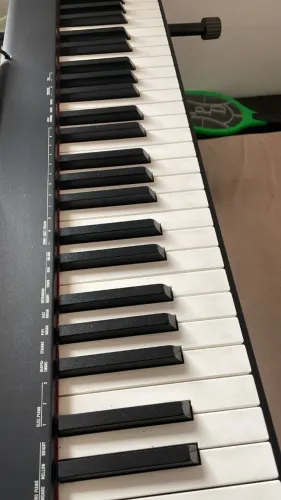 Piano Casio CDP S100