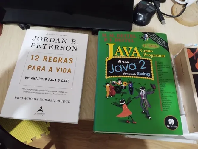 12 Regras Jordan B Peterson  e Java