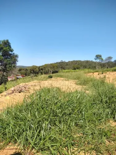 Chácara 20.000 m², plano, riacho nos fundos, terra fértil. Jaboticatubas.