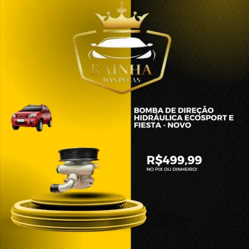 Bomba De Direção Hidráulica Ecosport e Fiesta - NOVA