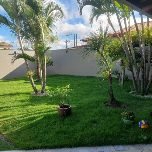 Poda de arvores e jardinagem