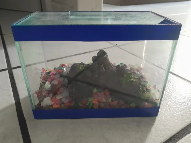 Aquario para peixe beta