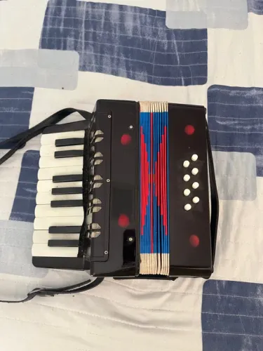 Acordeon Infantil