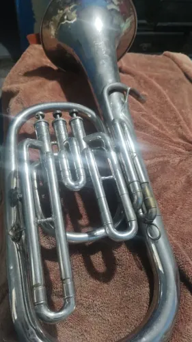Bombardino Wengril Bb/C
