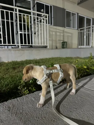 Doação