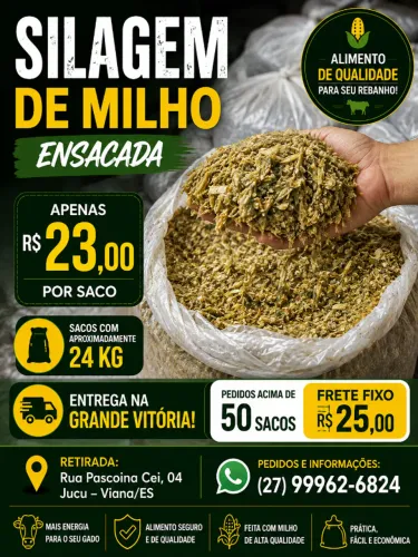 ? SILAGEM DE MILHO - R$ 23,00/SACO
