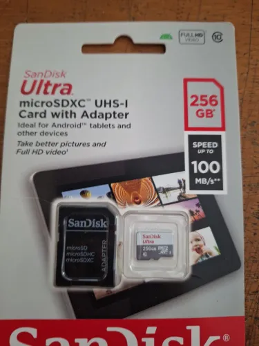 Cartão Sd Sandisk 256gb