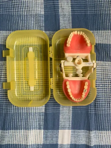 Manequim odontológico