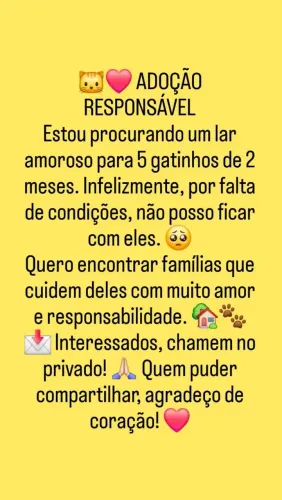 Adoção responsável 