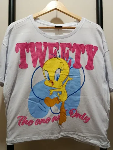 Camiseta Piu Piu looney tunes tamanho G1