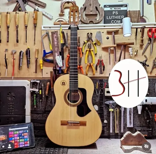 Rozini RX210 Fishman Regulado por Luthier e com case