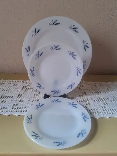 Pratos Colorex Trigo azul