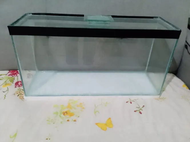 Aquário para peixes 30 litros promoção pra zerar estoque 