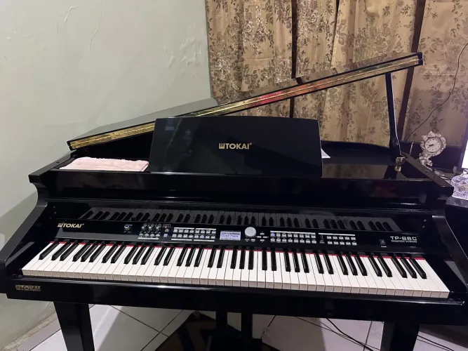 PIANO DE CAUDA