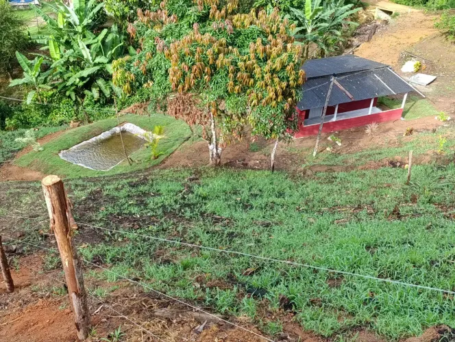 Vendo sitio em tirol 4.000m² 129mil