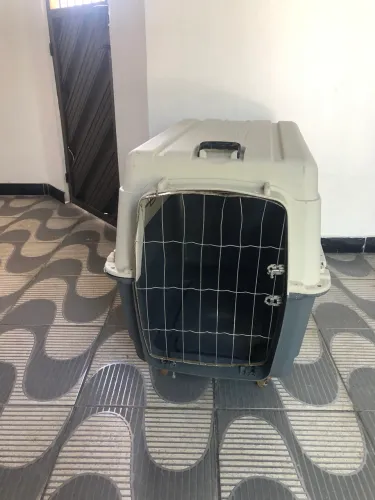 Caixa de transporte para cachorro