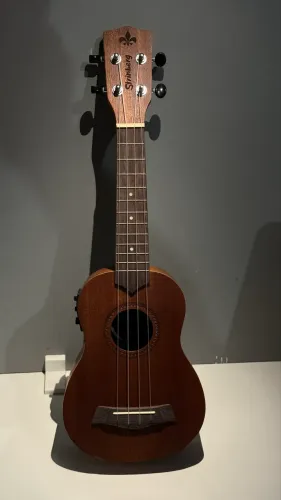 Ukulele 