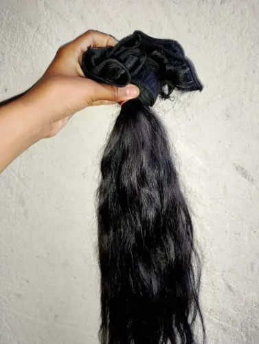Cebola humano de 45cm