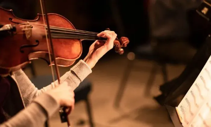 Violino- Aulas Particulares - Campinas SP ou online