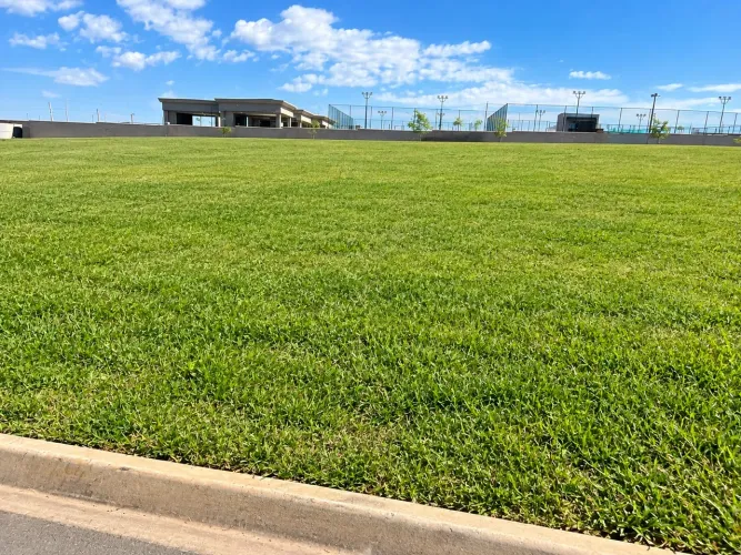 Terreno comercial Paulínia