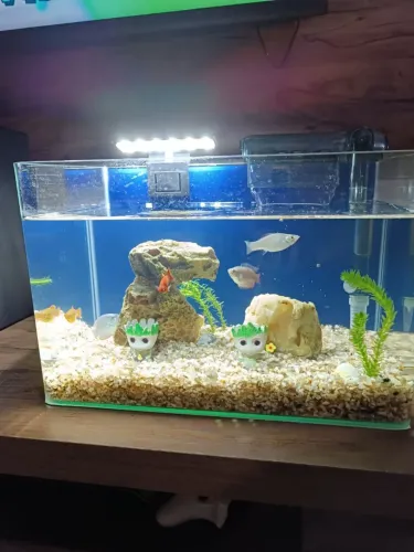 Aquário 35cm com bomba e luz led 