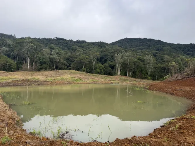 ANITÁPOLIS/SC - Ótimo terreno para sítio com 2 hectares