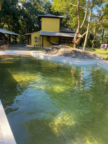 Sítio Itacuruçá | Natureza, Piscina e Vista para o Mar!