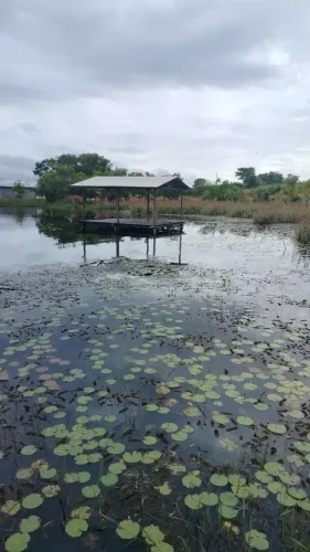 Venda Urgente! Terreno 22x40 + Área de Rio em Porto Grande/AP