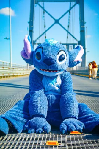 Stitch na sua festa