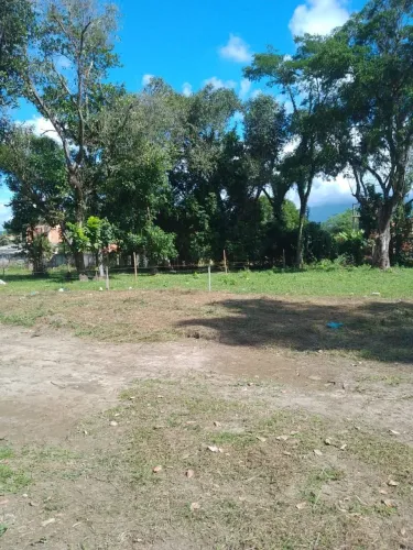 VENDO LOTES EM TINGUA 