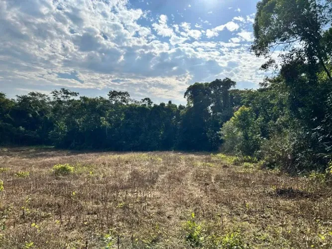 Terreno 25 mil m2, localizado lateral da Estrada Mildau