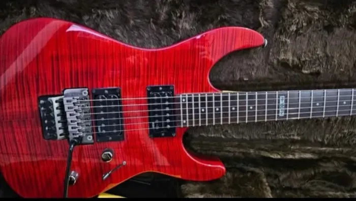 Guitarra ESP LTD M -100 (Somente venda)