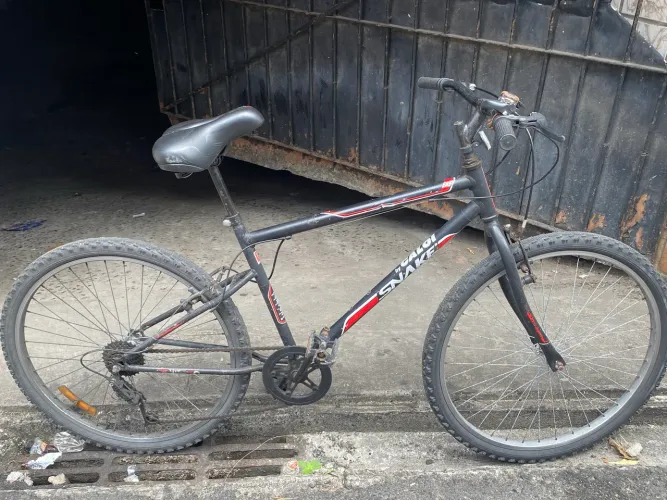 Bicicleta