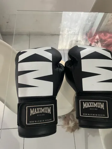 luva de boxe e muay thai maximum