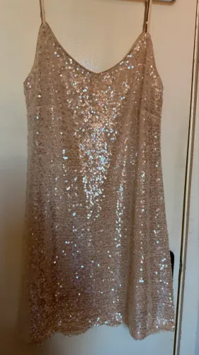 Vestido de Paetê Rose