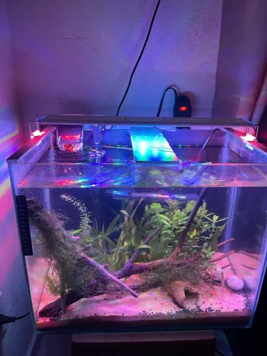 Vendo aquário completo