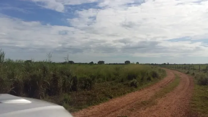 FAZENDA PROFESSOR JAMIL 8 ALQUEIRES