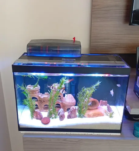 AQUÁRIO PRONTO PARA USAR R$450