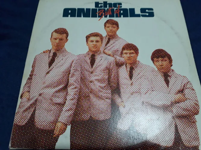 Disco the Animals
