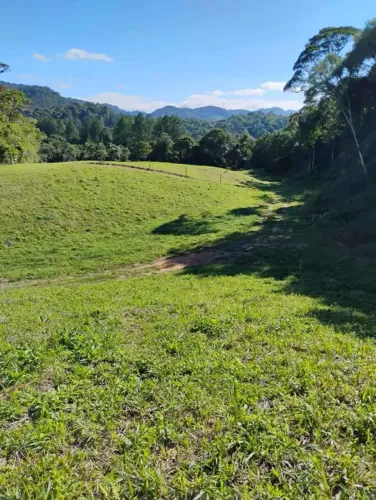 Imóvel para venda tem 6000 metros quadrados em Santa Izabel - Águas Mornas - SC