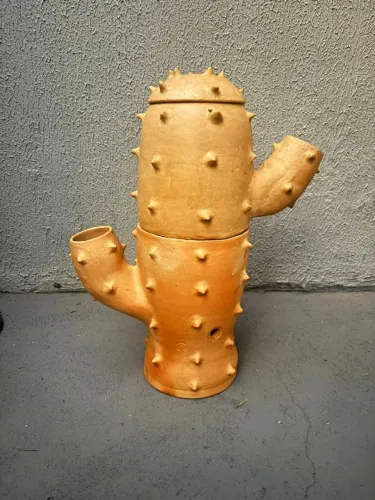 Purificador Água mandacaru