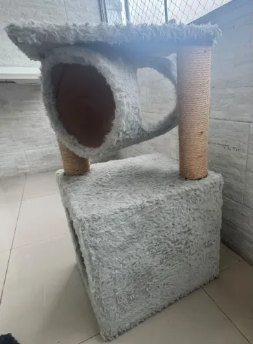 Kit diversos produtos para gatinhos