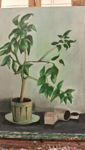 Quadro vaso e flor