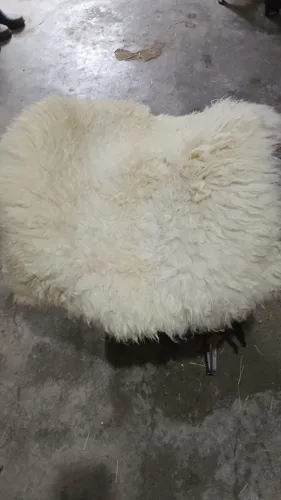 Pelego de ovelha